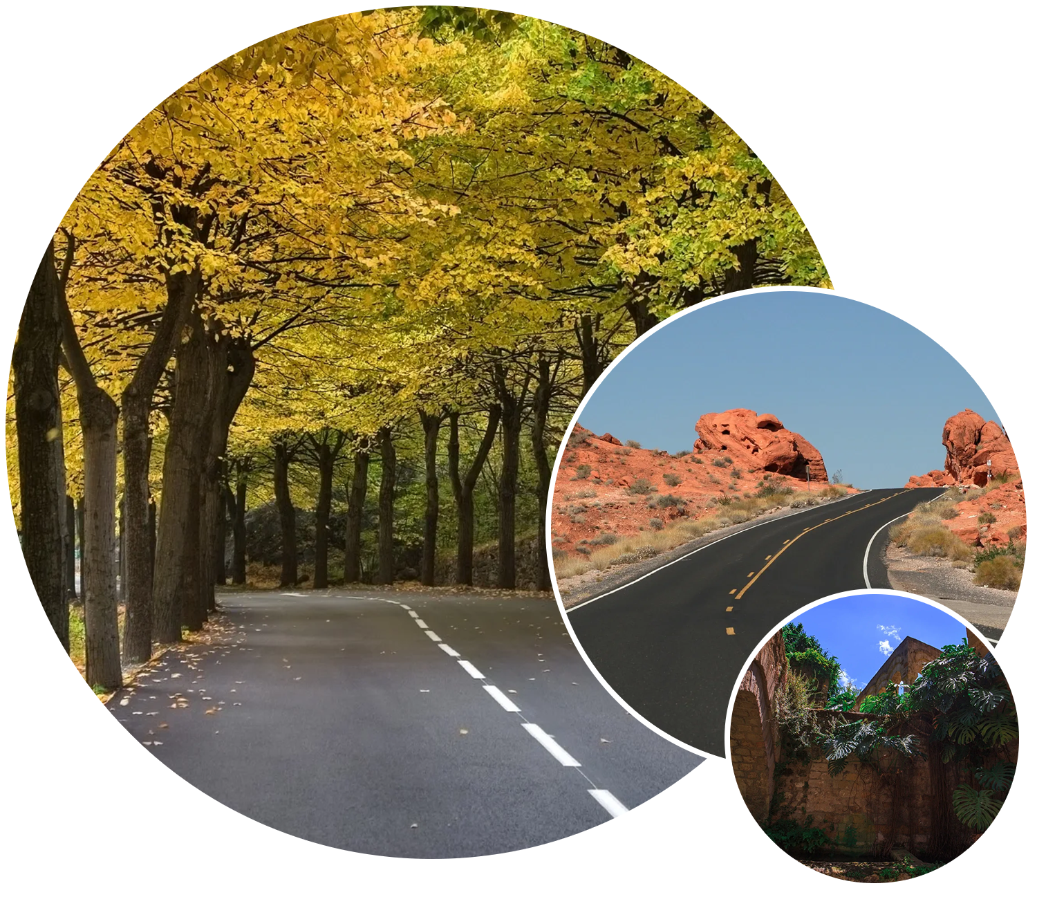 A collage of different pictures with trees and mountains.